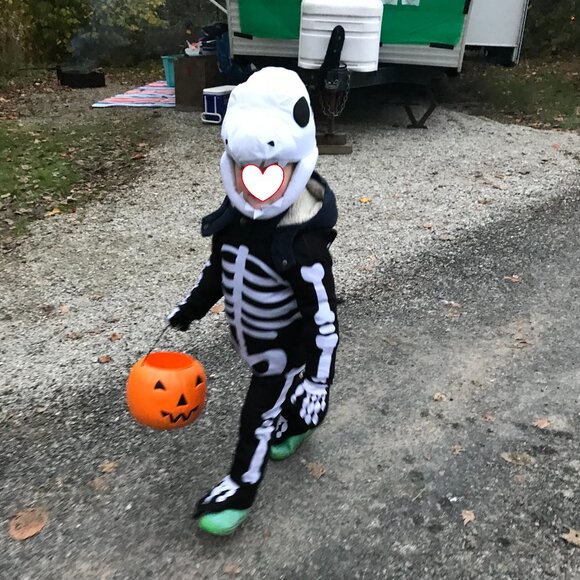 Dino Skeleton Costume - Picture 1 of 12